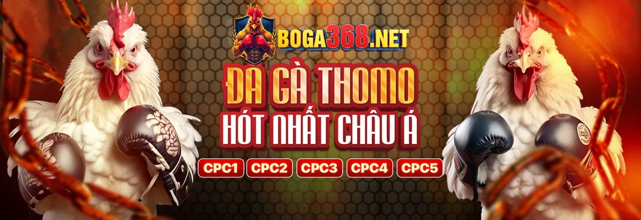 Tính năng sòng bạc trực tiếp mới
